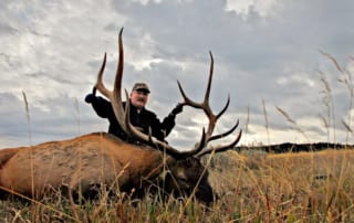 man posing with elk and horns