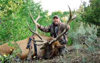 man posing with elk and horns