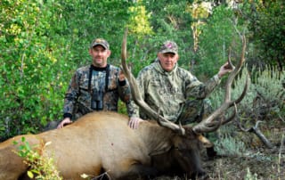 two men posing with elk and horns