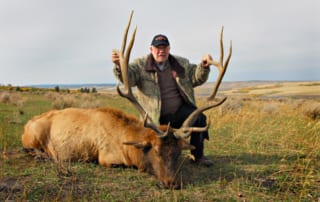 man posing with elk and horns