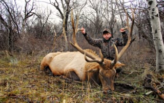 young man posing with elk and horns