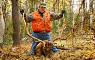 man posing with elk and horns