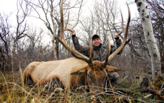 young man posing with elk and horns