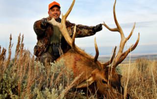 man posing with elk and horns