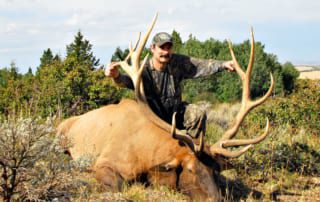 man posing with elk and horns