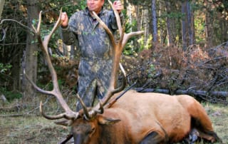 man posing with elk and horns