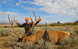 man posing with elk and horns