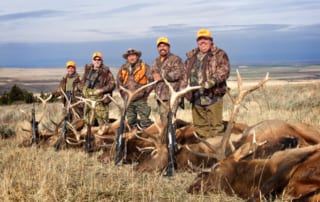 group of men standing with elk