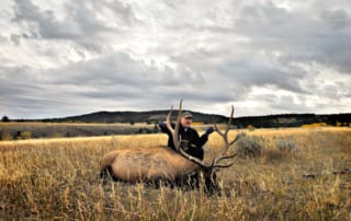 man posing with elk and horns in field