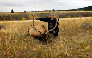 man posing with elk and horns