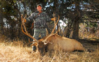 man posing with elk and horns