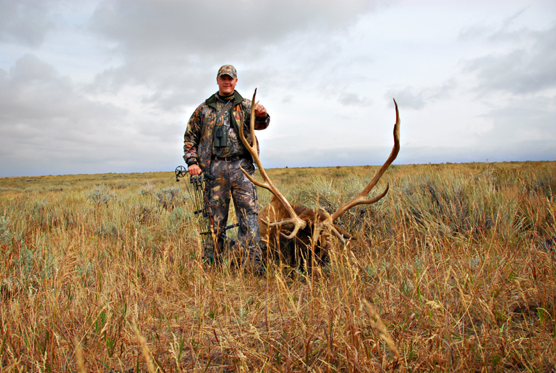 man posing with elk and horns in field