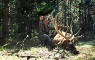 man posing with elk and horns