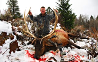 man posing with elk and horns