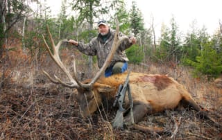 man posing with elk and horns