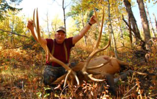 man posing with elk and horns