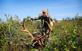 man posing with elk and horns