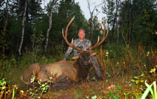 man posing with elk and horns