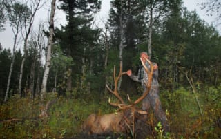 man posing with elk and horns