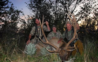 group posing with elk and horns