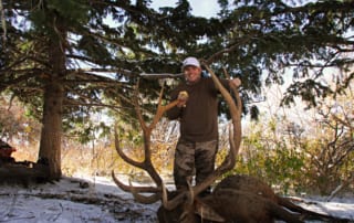 man posing with an elk and horns