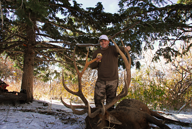 man posing with an elk and horns