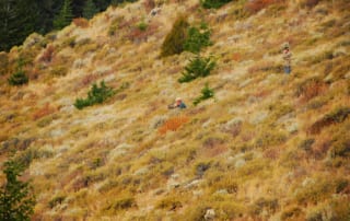 hunter hiding in the grass on a hill