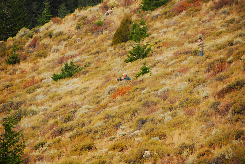 hunter hiding in the grass on a hill
