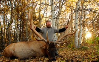 man posing with an elk and horns