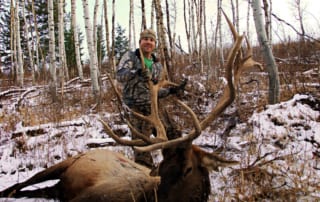 man posing with an elk and horns