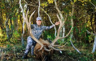 man posing with an elk and horns