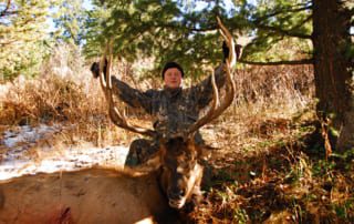 man posing with an elk and horns