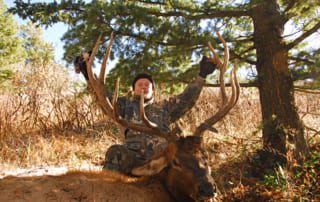 man posing with an elk and horns