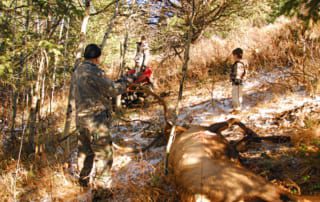 group with downed elk