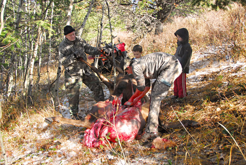 group with downed elk
