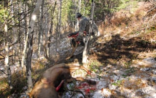 man with downed elk