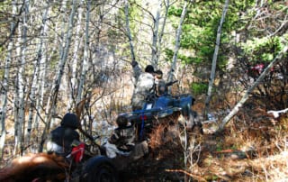 group in the woods with downed elk