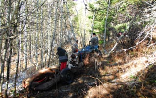 group in the woods with downed elk