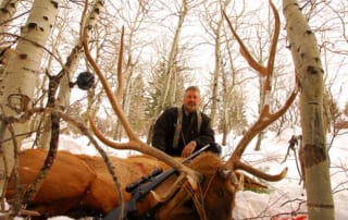 man posing with an elk and horns