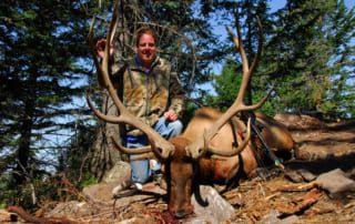 man posing with an elk and horns