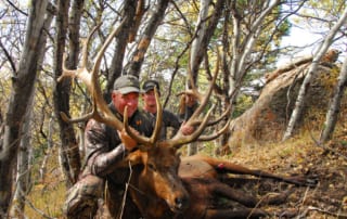 man posing with an elk and horns