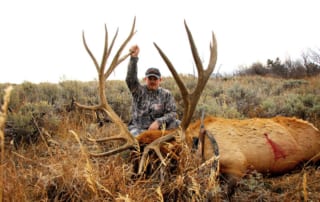 man posing with an elk and horns