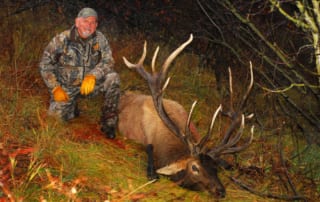 man posing with an elk and horns