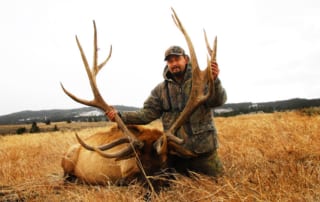 man posing with an elk and horns