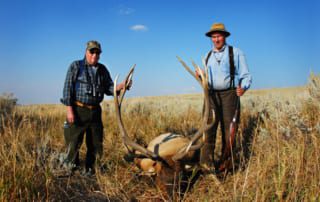 men posing with an elk and horns