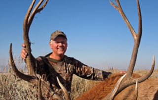 man posing with an elk and horns