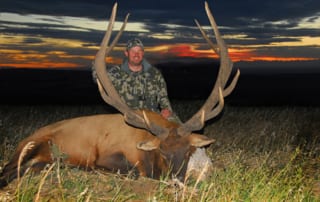 man posing with an elk and horns