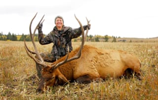 woman posing with an elk and horns