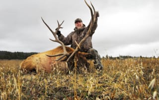 man posing with an elk and horns