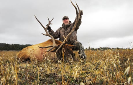 man posing with an elk and horns